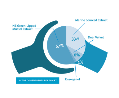 Bomazeal Mobilize Tablets – Joint Support for Pets | No Prescription Needed