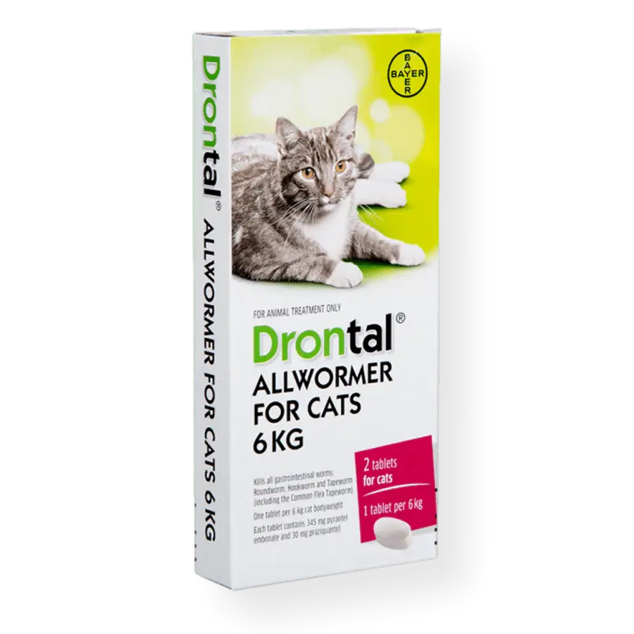 Drontal Allwormer for Cats packaging with a cat illustration on a white background