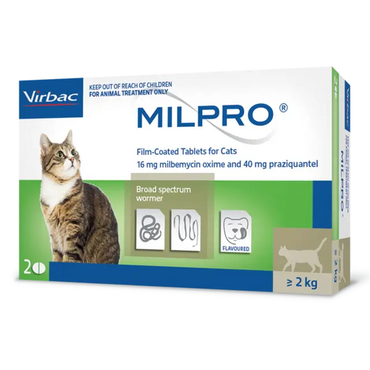 Milpro deworming tablet for cats over 4.4 lbs – broad-spectrum internal parasite control.