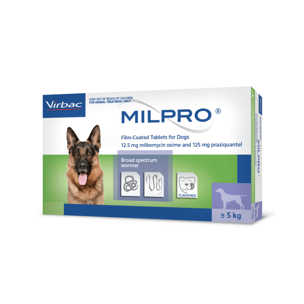 Milpro deworming tablets for large dogs broad parasite protection
