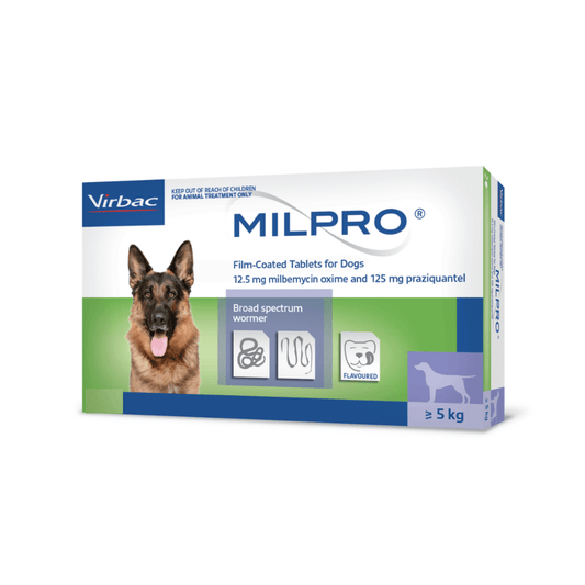 Milpro deworming tablets for large dogs broad parasite protection