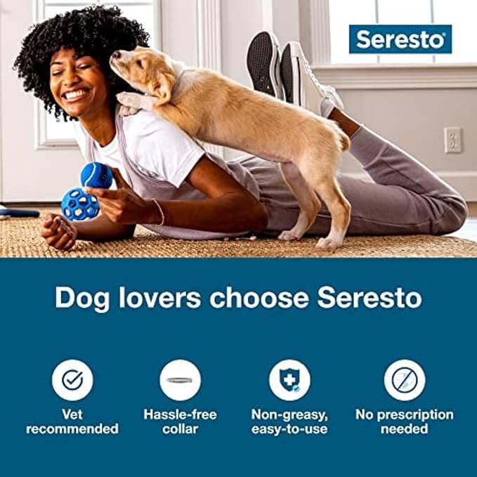 small dog flea protection collar seresto tick repellent