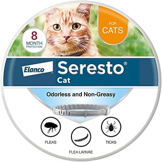 Seresto Cat & Kitten Flea Collar – 8-Month Flea & Tick Protection