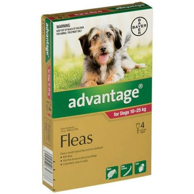 Advantage Spot On flea and tick treatment for medium dogs (22-55lbs), no vet prescription necessary, product packaging