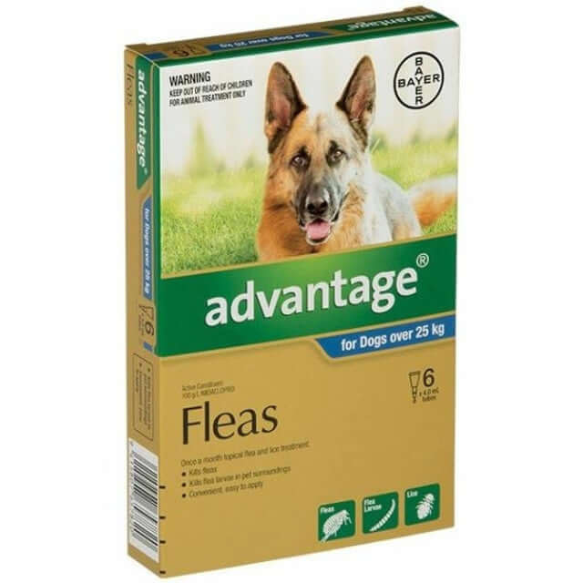 Advantage Spot On flea and tick treatment for large and extra-large dogs over 55 lbs, no prescription required, product packaging