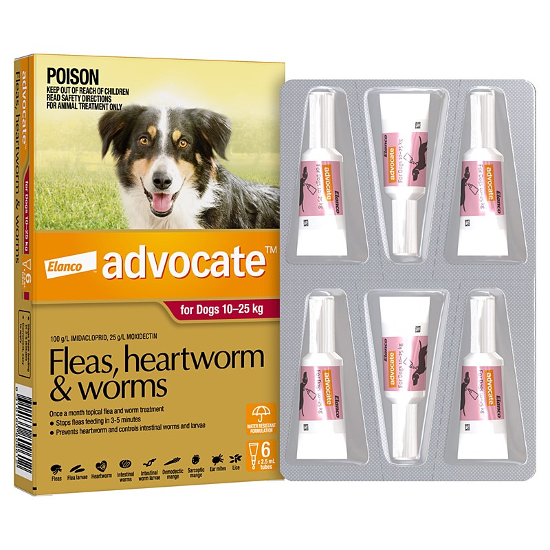 Advocate (Advantage Multi) Spot On Dogs Medium (22 - 55 lbs)