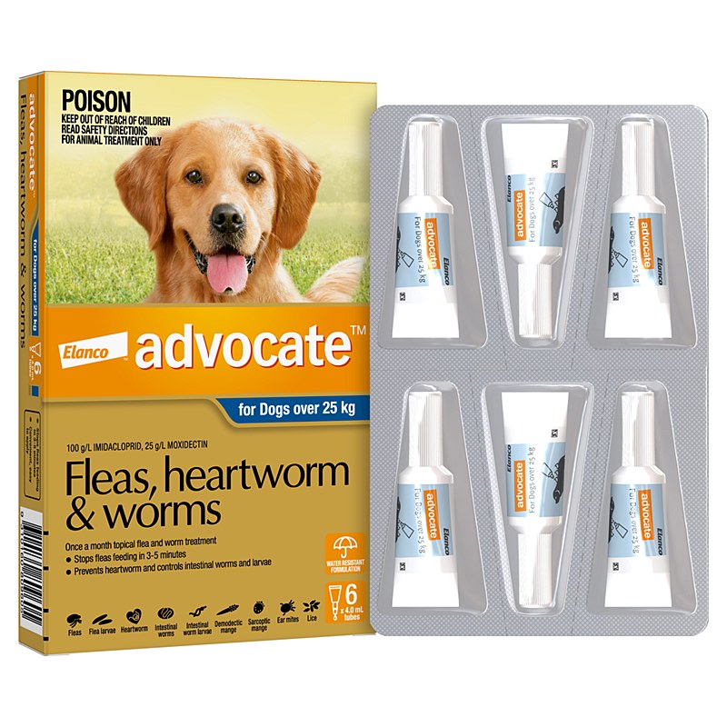 Advocate (Advantage Multi) Spot On Dogs Large/XL (Over 55 lbs)