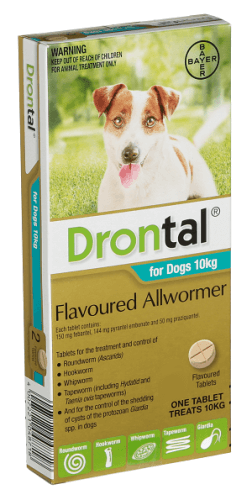 Drontal All Wormer for Dogs up to 10kg (22lbs) - 2 Pack, deworming tablets treating roundworms, hookworms, whipworms, and tapeworms