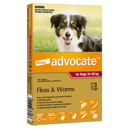 Advocate Spot On flea, tick, and worm treatment for medium dogs (22-55 lbs), product box, no prescription needed