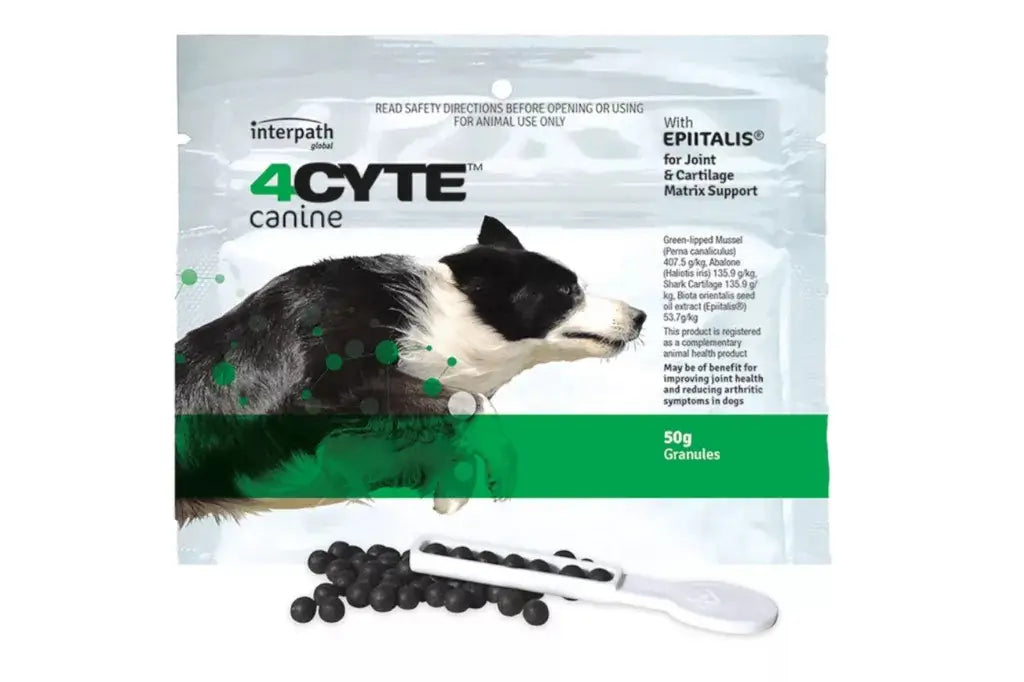 4CYTE joint support medicine granules for dogs and cats, 1.76oz (50g), helps with joint health, product box, no vet prescription required.