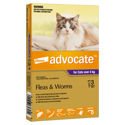 Advocate flea and worm treatment for cats over 9 lbs, purple packaging, no RX required