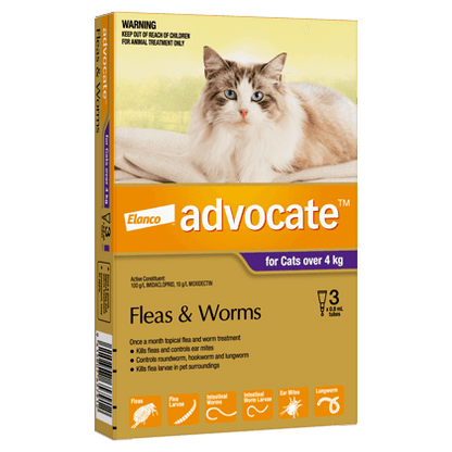 Advocate flea and worm treatment for cats over 9 lbs, purple packaging, no RX required