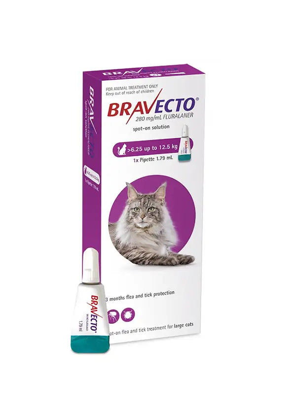 Bravecto Spot On flea and tick treatment for large cats (13.7-27.5 lbs), no RX required, product box