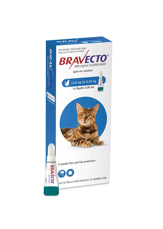 Bravecto Plus flea and worm treatment for cats (6.2-13.7 lbs), product packaging, no RX required