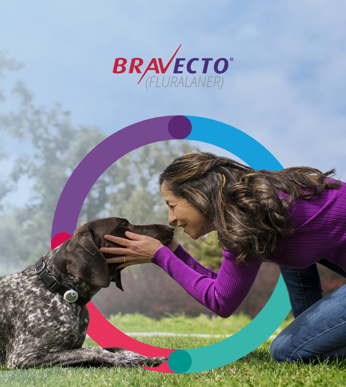 Bravecto for dogs without vet prescription