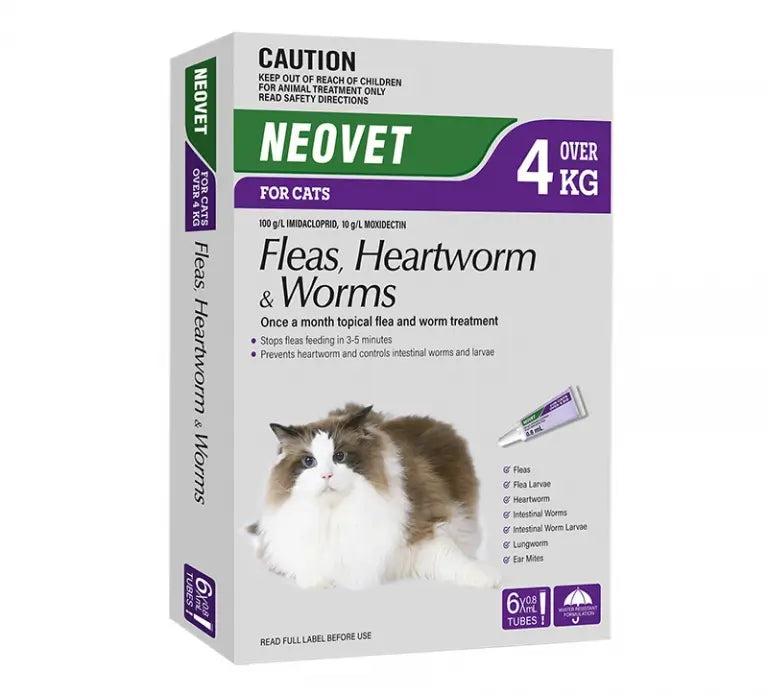 no prescription cat flea worm prevention