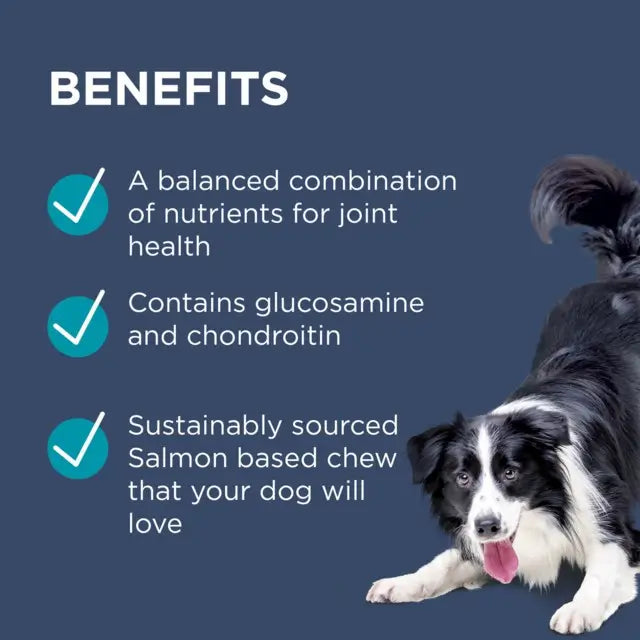 Osteocare joint hip health chews for dogs, glucosamine chondroitin arthritis help