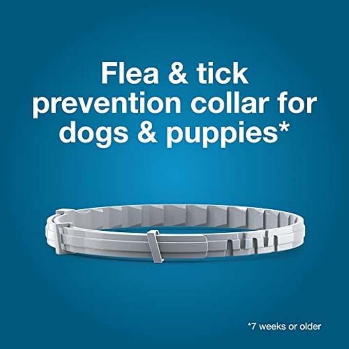 flea collar small dogs ticks protection seresto