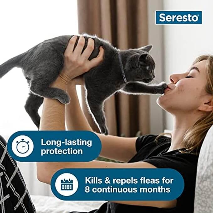 Flea prevention collar for cats tick protection by seresto