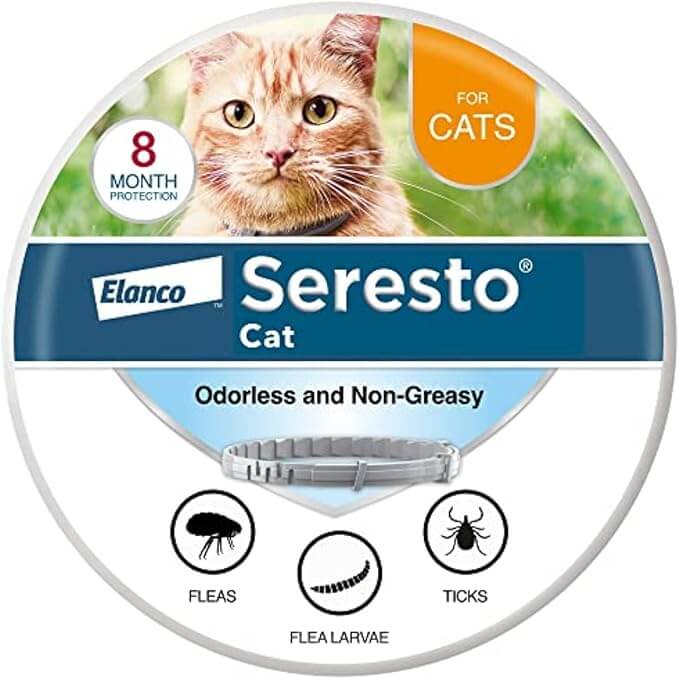 Seresto Cat & Kitten Flea Collar – 8-Month Flea & Tick Protection