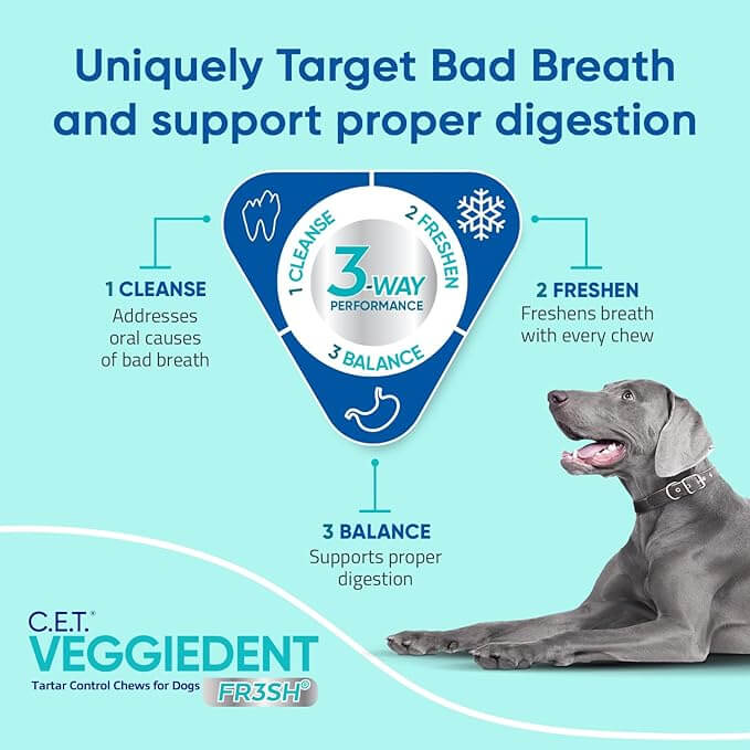 Dog dental chew virbac for fresh breath and clean teeth 