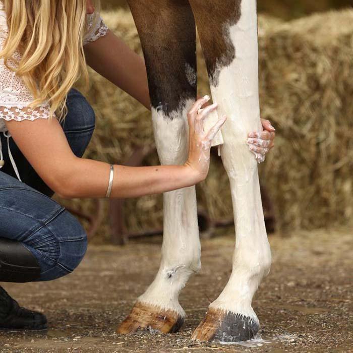 100% Natural WashBar Horse & Hound Shampoo Bar for Healthy Coat Care