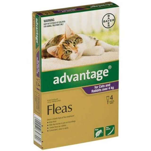 Advantage Spot On flea treatment for cats over 9lbs, no prescription needed, product packaging.