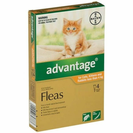 Advantage Spot On flea treatment for kittens and small cats up to 9lbs, no RX required, product box