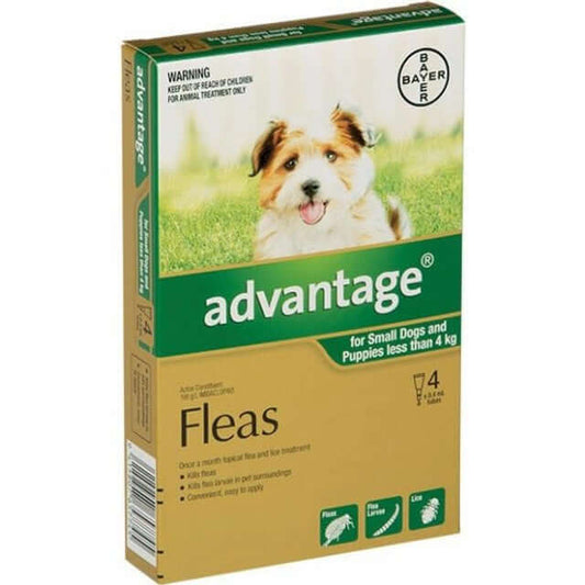 Puppy flea worm medicine pills by advantage product box showing vet