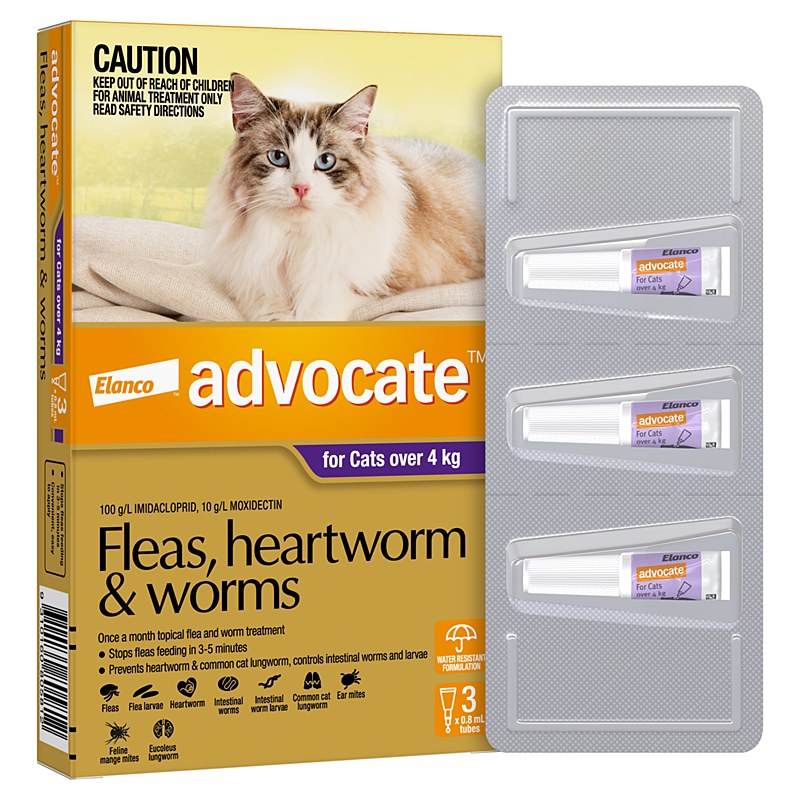 Advantage Multi flea and worm treatment for cats over 9 lbs, purple 3 pack, no RX required