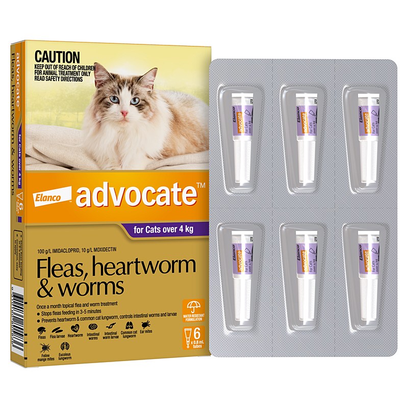 Advocate (Advantage Multi) Spot On Cats (Over 9 lbs)