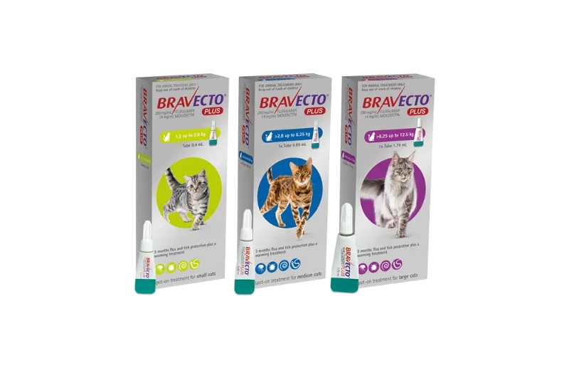 Cat Bravecto Plus spot-on treatment for flea, tick, and worm protection