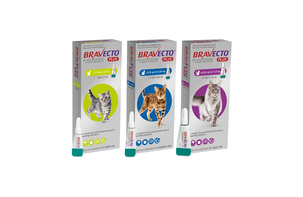 Bravecto for cats without prescription usa