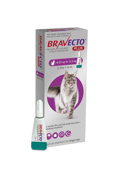 Bravecto PLUS Flea and Worm Prevention for Large Cats (13.7-27.5 lbs) – 3 months of flea, tick, heartworm, and intestinal worm control