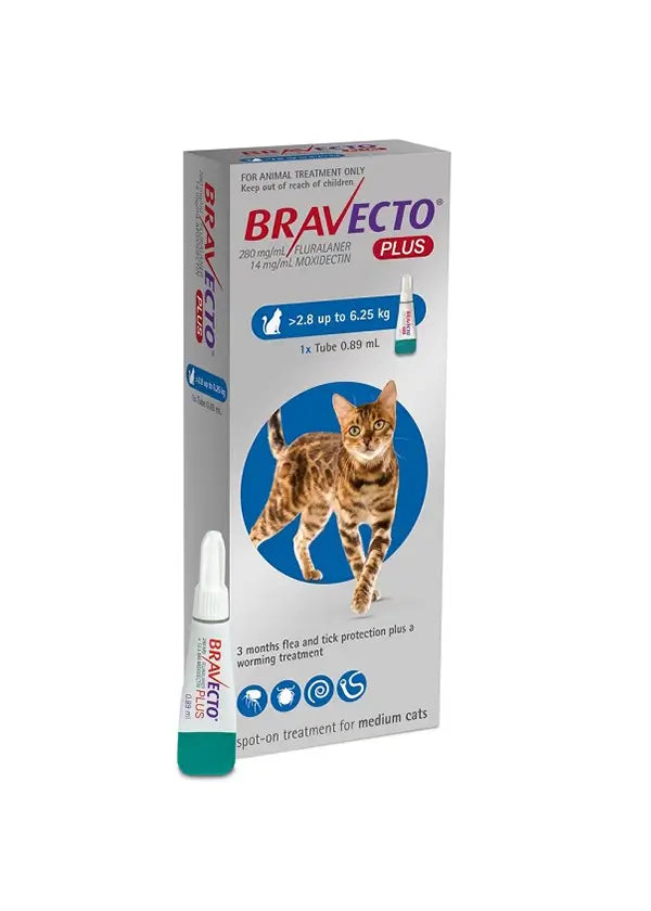 Bravecto PLUS Flea and Worm Prevention for Cats – 3 months of flea, tick, heartworm, and intestinal worm control.