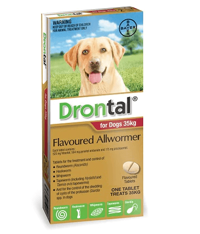 Drontal All Wormer for Dogs up to 77lbs (35kg) - 2 Pack, broad-spectrum deworming tablets treating roundworms, hookworms, whipworms, and tapeworms