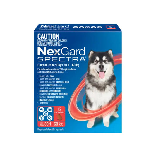 NexGard Spectra flea protection and tick chew for extra-large dogs (66.2-132.2 lbs), 3 pack product packaging, no RX required